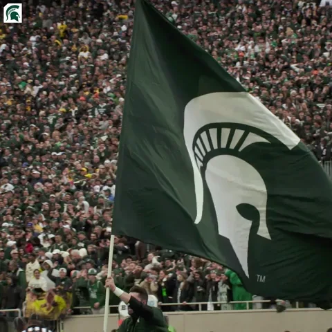 Michigan State